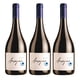 thumbnail image 1 of 3 Vinos Garces Silva Pinot Noir, 750 ml, 14.5%, 1 of 3