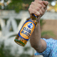 thumbnail image 2 of Bebida Mate Natural Club Mate 1 x 330 ml, 2 of 6
