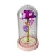 thumbnail image 2 of Rosa Eterna Encapsulada Flor Artificial Regalo Dia Del Amor, 2 of 6