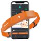 thumbnail image 1 of Cerca para perros Aweec - Collar de entrenamiento GPS inalámbrico (naranja), 1 of 7