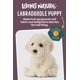 thumbnail image 3 of Peluche Living Nature Labradoddle de 15 cm con forma de perro blando, 3 of 7