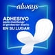 thumbnail image 5 of Protectores Femeninos Always Diarios, 80 uds, 5 of 5