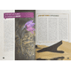 thumbnail image 3 of El libro de los Porqués, 3 of 5