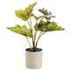 thumbnail image 1 of Plantas artificiales, plantas artificiales en maceta, decoración del hogar, 1 of 5