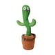 thumbnail image 2 of Cactus Bailarin 34*9cm, 2 of 2