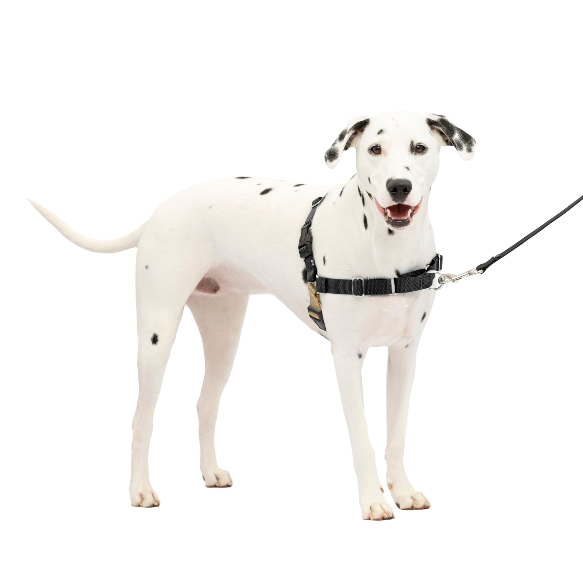 Arnés Para Perros Petsafe Easy Walk No-pull, Tamaño Medio/grande, Negro Y Plateado