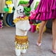 thumbnail image 5 of Falda de Bailarina de Vientre para Perros Uxcell, Cadena de Cintura Cortina de Cadera Ropa de Disfraz para Perros Cachorros Traje de Baile de Sacudida de Cadera (Chifón, Azul), 5 of 6