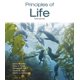 thumbnail image 1 of Libro W. H. Freeman: Principios de la Vida, 1 of 1