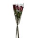 thumbnail image 4 of Rosas 3 Unidades, 1 Un, 4 of 4