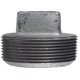 thumbnail image 1 of Plug Anvil International 2 en hierro maleable galvanizado, 1 of 1