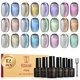 thumbnail image 1 of Esmalte de Gel ROSALIND 12 uds Cat Eye con Imán, 1 of 9
