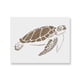 thumbnail image 1 of Stencil Stencil Revolution Tortuga Marina Vida Marina 30x30 cm, 1 of 8