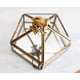 thumbnail image 2 of Joyero organizador Ukonic Harry Potter Gold Chocolate Frog, 2 of 7