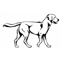 Rienda Libre Graphics - Decomural Labrador Retriever Pet Dog Ws-34709