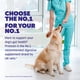 thumbnail image 2 of Suplemento Para Perros Daily Care Gut+ Digestive 60 Masticables, 2 of 7