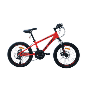 Bicicleta Totem Mtb Aro 20 Modelo Storm Rojo