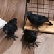 thumbnail image 3 of 1pc, Halloween Crow Feather Decoration - Perfect for Parties and Decorations, 3 of 4