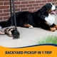 thumbnail image 5 of Cubo giratorio y rastrillo Pooper Scooper Arm & Hammer para perros, 5 of 8