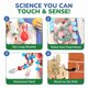 thumbnail image 4 of Kit STEM Modelo Interactivo del Cuerpo Humano para Niños de 8 a 14 Años – Smartivity, 4 of 8