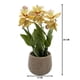thumbnail image 4 of Planta Artificial Orquidea Amarilla Decorativa Macetero Loza, 4 of 4