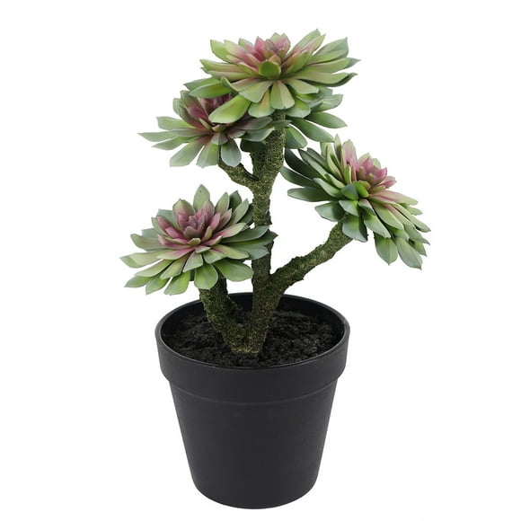 Suculenta Verde 33 Cm