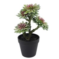 Green Element - Suculenta Verde 33 Cm