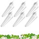 thumbnail image 1 of Luz de Cultivo Barrina T8 LED 5000K 144W, 6 Unidades, 1 of 3