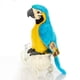 thumbnail image 1 of Peluche con bonito conejo, guacamayo, loro, 25 cm, azul, 1 of 2