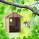 thumbnail image 5 of Casa para Pájaros de Ventana ColorfulLaVie de Madera con Ventosas, 5 of 6