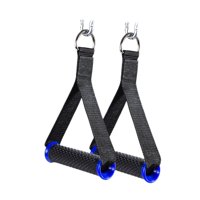 Magideal - Manijas De Banda De Resistencia, Empuñaduras De Fijación, Correa De Bíceps Y Tríceps, Manijas De Máquina Para Levantamiento De Pesas, Sistema De Polea Azul