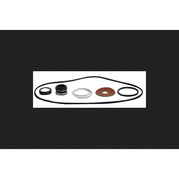 Kit de juntas Pentair de 0 x 16,8 cm, varios sellos