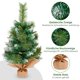 thumbnail image 3 of Árbol de Navidad Uten Miniflocado en forma de nieve, 60 cm, con base, 3 of 7