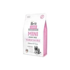 Mini Yorkshire 2kg