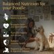 thumbnail image 2 of Multivitamínico para perros Prestige Breed Poodle 90 masticables blandos, 2 of 6
