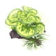 thumbnail image 2 of Decoraciones De Plantas De árboles De Acuario Decoraciones De Plantas Pequeñas Para Decoración De Peceras Estilo A, 2 of 5