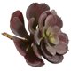 thumbnail image 5 of Set de suculentas artificiales de Echeveria casi naturales de 15 cm (12), 5 of 6