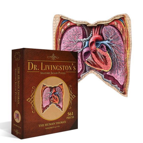 Anatomía Del Tórax Humano De Puzzle 411 Piezas