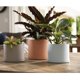 thumbnail image 4 of Maceta Bloem Mathers de 21 cm, color beige, con bandeja para platillo, 4 of 5