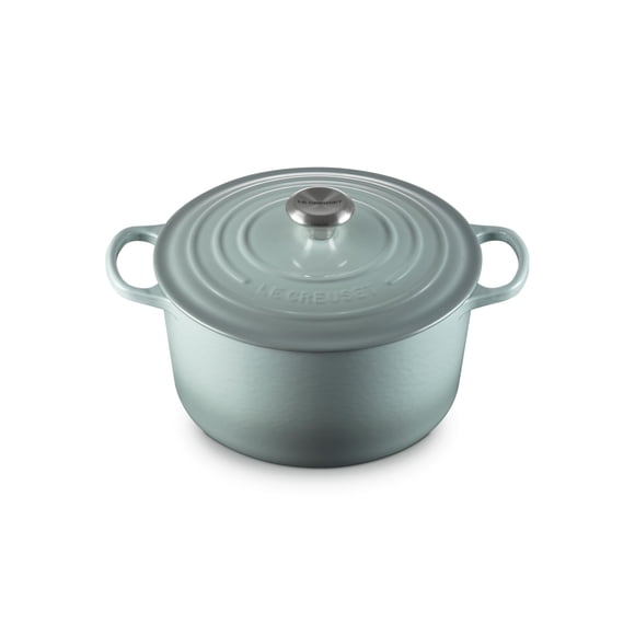 Sal marina Dutch Oven Le Creuset de hierro fundido esmaltado Signature de 6,5 litros