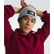 thumbnail image 2 of Gorro THE NORTH FACE TNF Logo Box con dobladillo TNF gris claro, 2 of 2