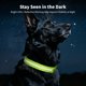 thumbnail image 5 of Collar para perro LIT&GO con luz LED, 7 colores, recargable por USB‑C, 5 of 8