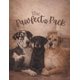 thumbnail image 1 of Libro publicado de forma independiente The Pawfect Pack, 1 of 1