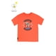 thumbnail image 1 of Polera boys solar power light 742, 1 of 3