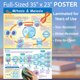 thumbnail image 3 of Póster NewPath Learning Mitosis y meiosis 23x35 cm, 3 of 4