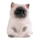 thumbnail image 2 of Juguete Antiestrés De Gatito, Lindo Y Versátil Juguete Sensorial Para Jugar En Fiestas, Regalo Para Niños, 2 of 5