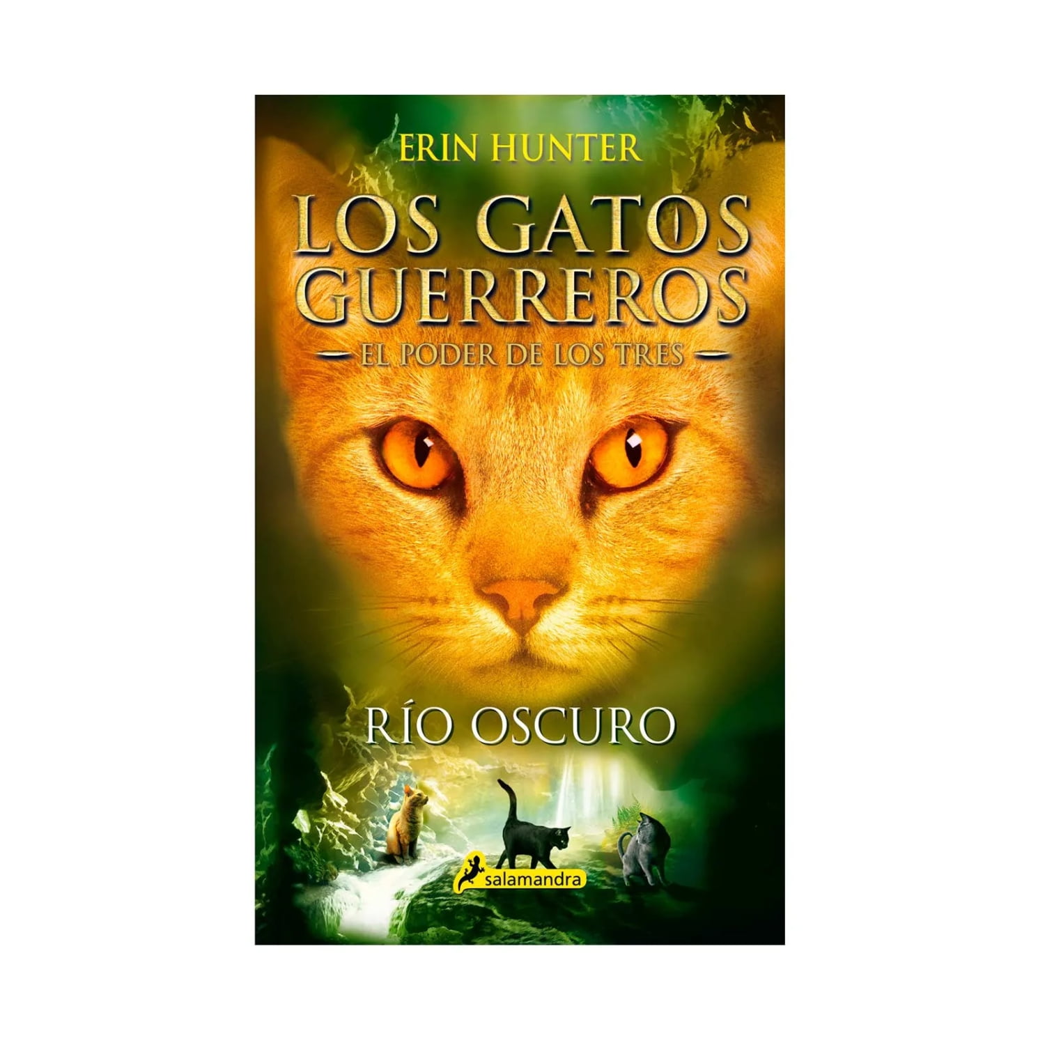 Salamandra Infantil Y Juvenil - Libro Río Oscuro (los Gatos Guerreros El Poder De Los Tres 2)