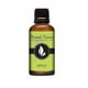 thumbnail image 1 of Aceite aromático Eternal Essence Oils Apple 30 ml para velas y jabón, 1 of 5