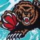 thumbnail image 3 of Short Mitchell And Ness Nba Team Vancouver Grizzlies 1996, 3 of 4