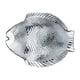 thumbnail image 1 of Set de 6 PLATO MARINE 260 x 210 mm, 1 of 3