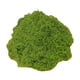 thumbnail image 5 of Plantas Verdes Artificiales, Plantas En Maceta, Manualidades, Relleno, Decoración Para Patio, 50G, Musgo Sintético, Verde Claro, 5 of 5